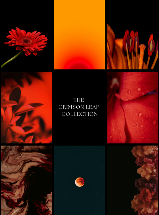 Crimson Leaf Collection Lookbook