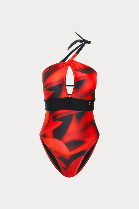 Scarlet | One Shoulder One-piece (Cheeky)